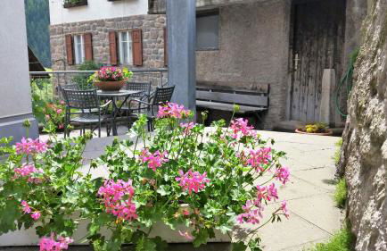 Apartments Haus Martin - Foto 35