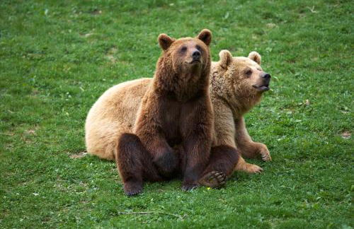 Apartamentos Rurales Les Barnedes - Foto 34