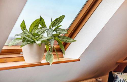 Ferienhaus Am Bauerngarten - Foto 11