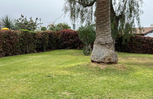 Mirador Oceanic Observatory - Foto 10