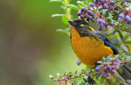 Casa 3 quartos 3 Ar condicionado - Foto 7