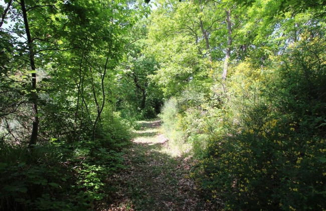 Timeless Holiday Home in Apecchio With Garden - Photo 61