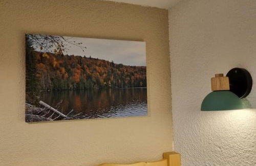 Le Montagnard - Foto 13