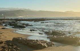 Chez Abel - Photo 11