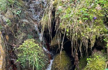 Casa Rural Pirineu Nevà - Foto 80