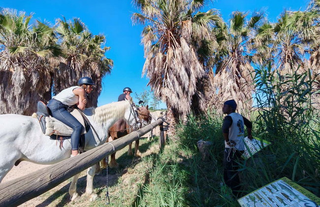 Passeggiata a cavallo al Delta dell'Ebro - Foto 6