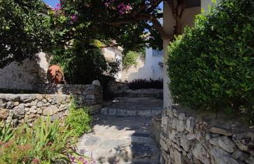 Hidden Gem with Sunset in the Aegean Sea, Two Traditional Homes in Ano Vathy, Samos - Foto 16