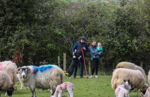 GlenHaven Holiday Accommodation - Foto 45