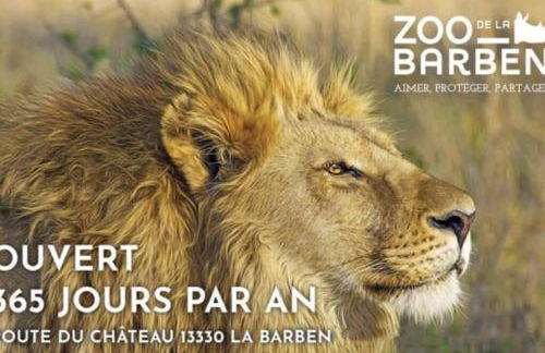 Vue panoramique sur le château,montagne et grottes - Foto 69