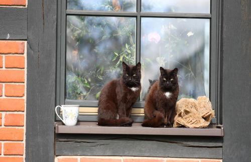 Ferienhaus am Garder See Inselblick - Foto 42
