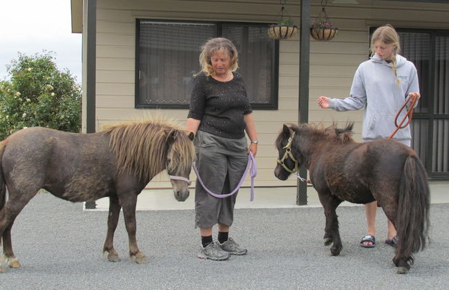 Eyreview Retreat - Photo 22