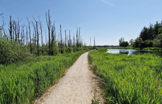 8 Person Holiday Home in Farvang - Photo 19