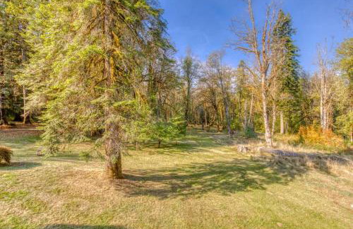 Iron Mountain - Spacious Secluded Lodge with Hot Tub & Game Room - Photo 77