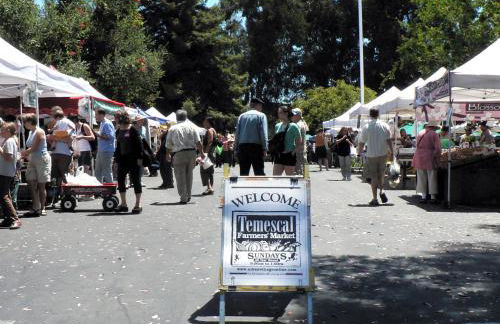 Modern & Open 2BR in Rockridge, Highly Walkable on Oakland Berkeley Border - Foto 49