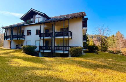 Waldapartments Titisee - Foto 47