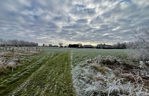 Magog View - Foto 20