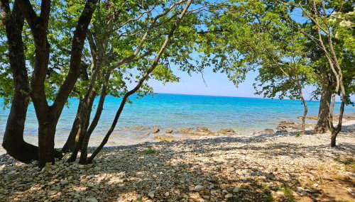 Apartma Park Učka - Foto 3