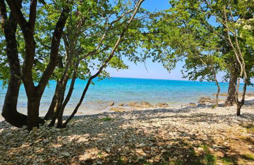 Apartma Park Učka - Foto 3