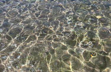 Giardino di Chiara al mare - Foto 25