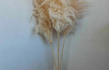 Mantalena's house - Foto 32