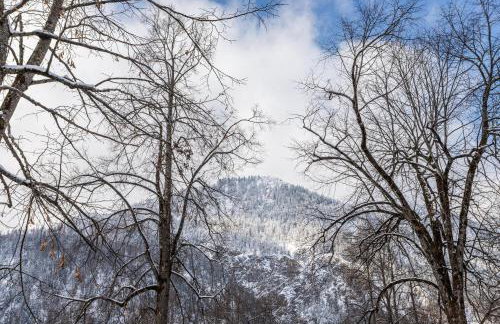 Voglsang - Haus Annamirl - Foto 25