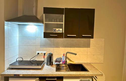 Apartment in Pellingen near Trier & Nature Park - Foto 3