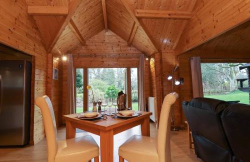 Woodpeckers - Photo 5