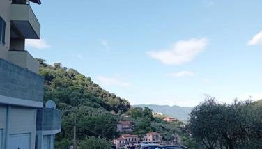 Dagli ulivi al mare - Foto 5