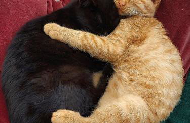 Wrzosowy Młyn - Twoje miejsce nad Jeziorem - Foto 52