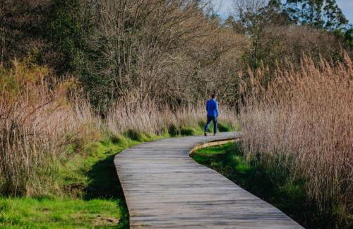 PONTECESO, MAR Y FER - Foto 18