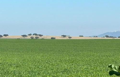 CasinhaD'Alice - Foto 42