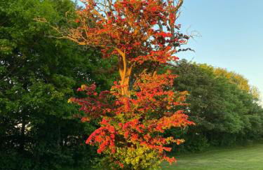 Jensen-Hoff - Foto 6