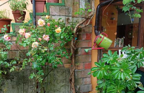 Casale Mansano - Natura e relax nelle colline - Photo 60