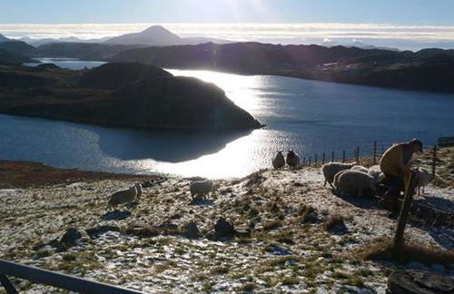 Skipaflotta - Foto 23