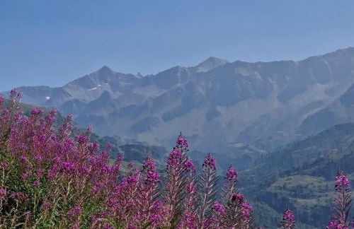 Les Chryolles - Foto 26