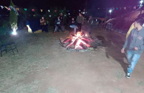 Chácara Chiafarelli - Photo 19