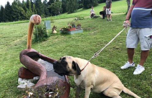 Chalet Maso Pino - Foto 17