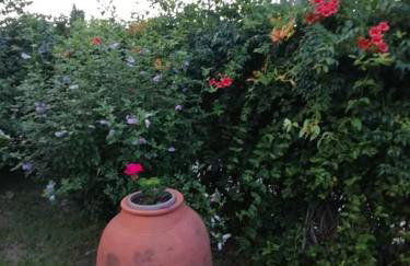 Peaceful cottage with incredible panoramic view - Foto 38