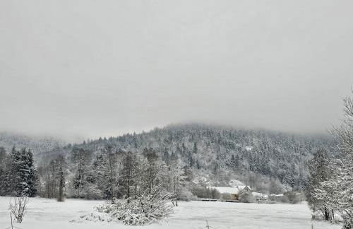 Maison au pied des 1000 étangs - Foto 61