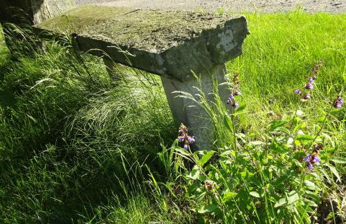 Alte Scheune Rietzschelhof mit Pool - Foto 6
