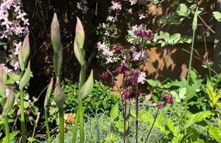 The Old Cheese Press, Eckington - Foto 31