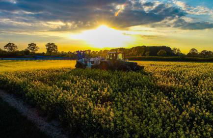 Ferienhof Kai Hansen - Foto 8