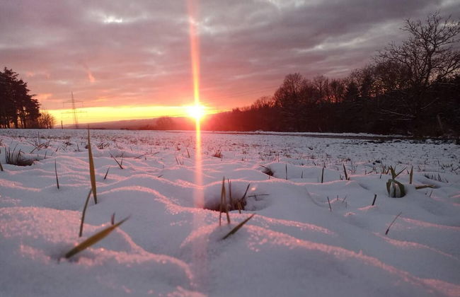 Ferienhaus Zum Unneschmitz - Foto 41