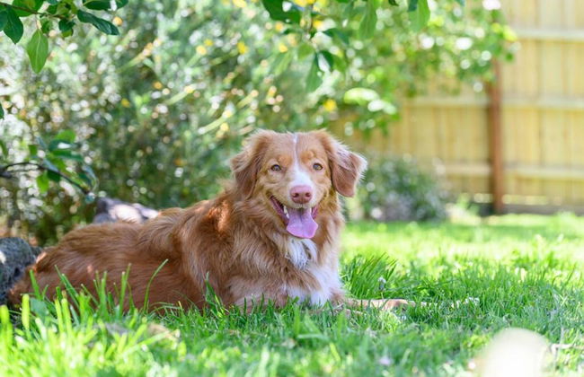 Your Ocean Oasis Ocean Country Views Spa Pet Friendly Fireplace - Foto 49