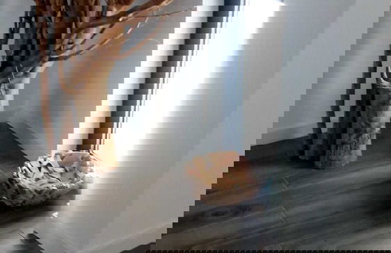 Casa de Sonho - Foto 66