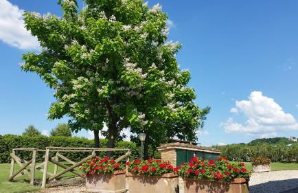 Agriturismo Miralduolo - Foto 138