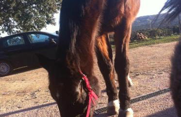 Résidence Villa Smeralda - Foto 77