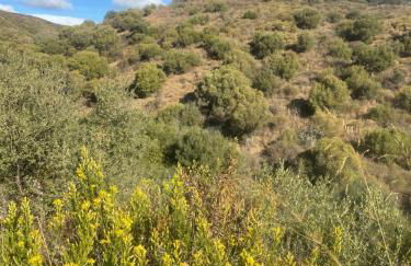 Buena Vista Apartment, 3 bedrooms - Foto 65