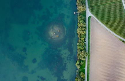 Pension Breitenauer See - Foto 101