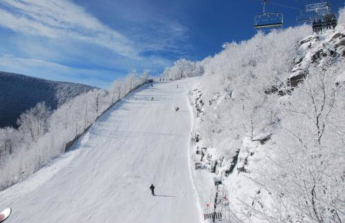 Catskills Lakefront with Hot Tub, Sauna and Theater - Foto 41